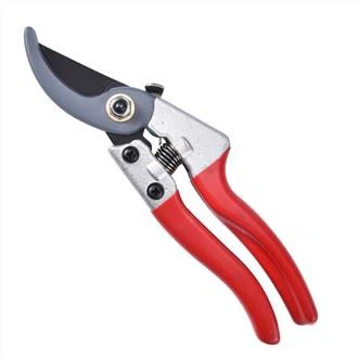 Sécateur professionnel